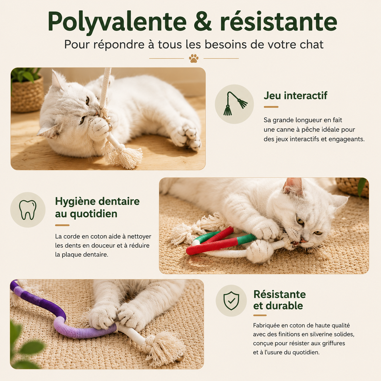 Corde Croc’Herbe™ – Jouet Dentaire à l’Herbe à Chat