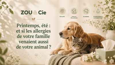 Printemps, été : et si les allergies de votre famille venaient aussi de votre animal ? 🌿