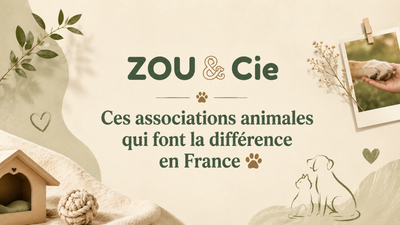 Ces associations animales qui font la différence en France 🐾