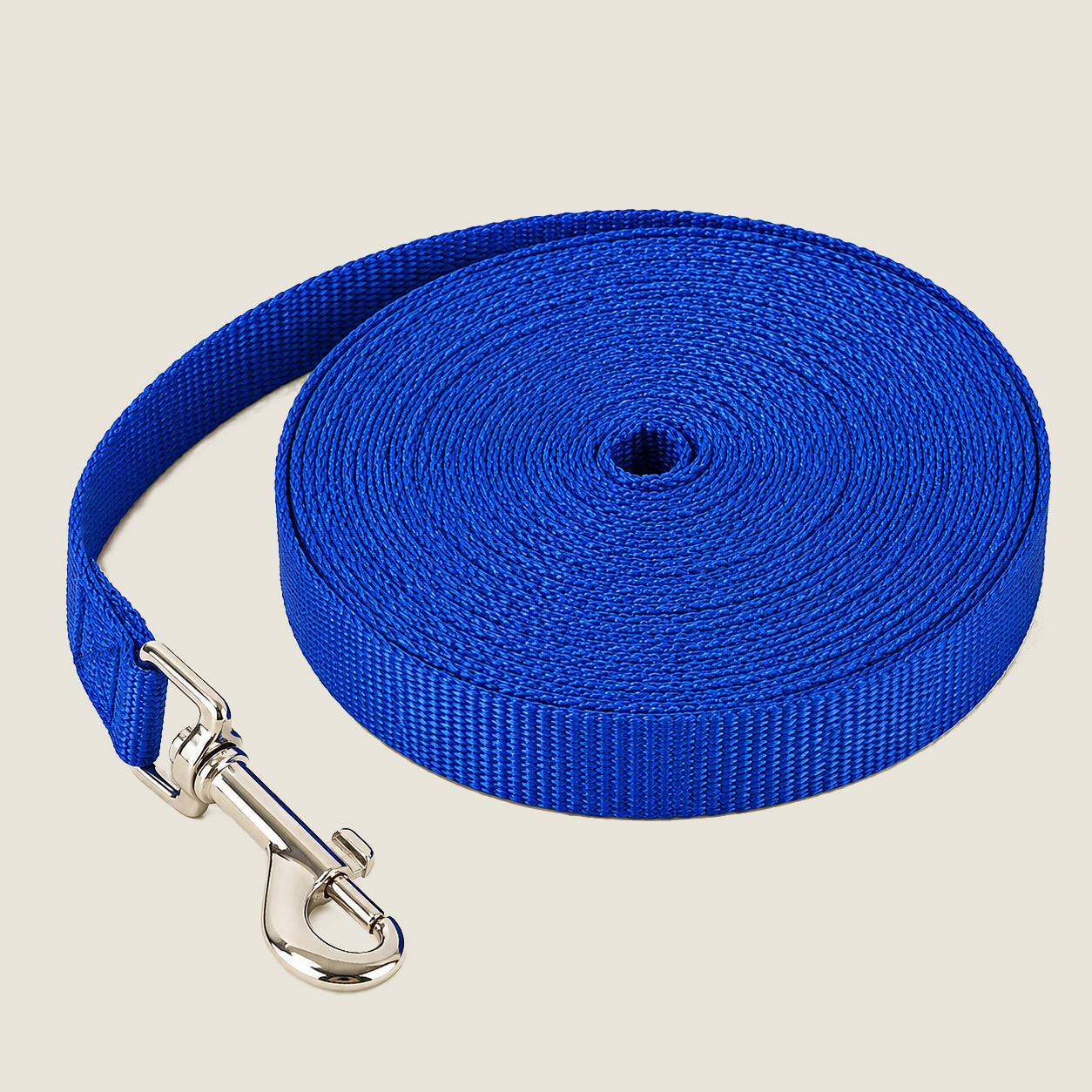 Longe d'exploration pour chien