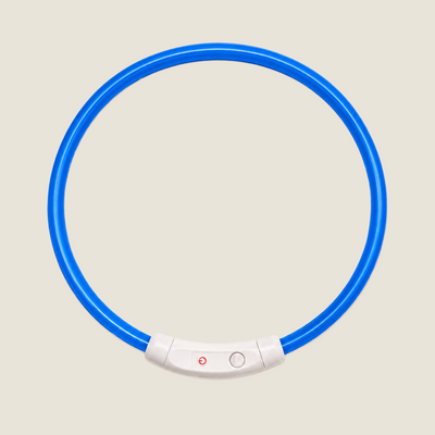 Collier Vigie™ – Collier lumineux pour chien