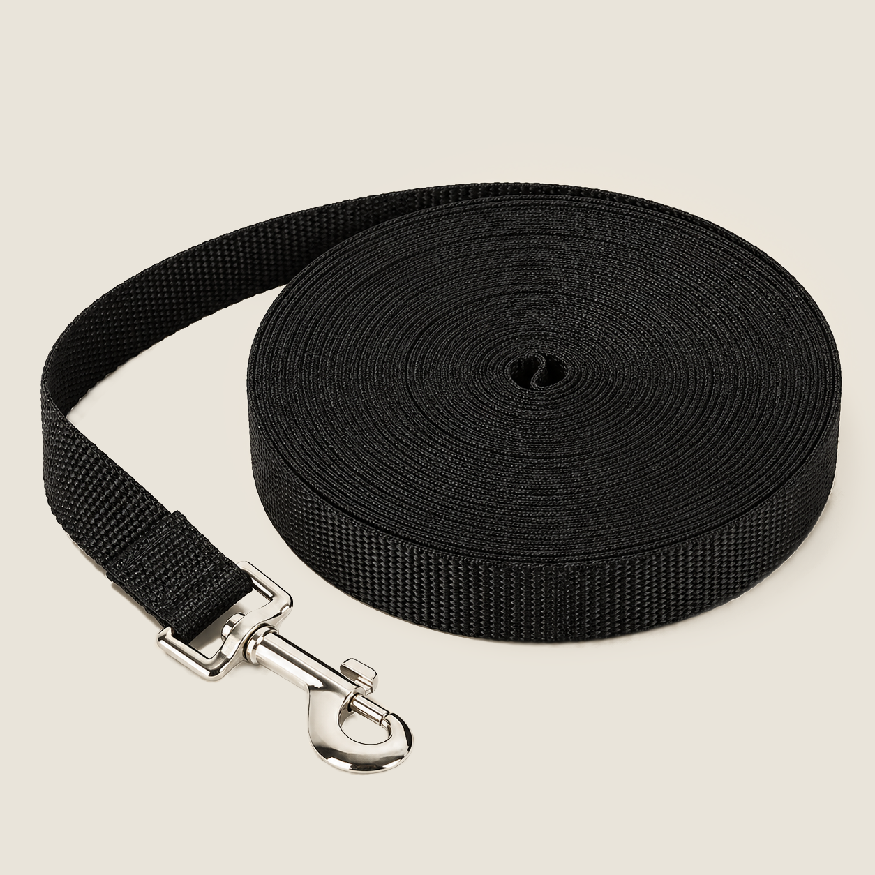 Longe d'exploration pour chien