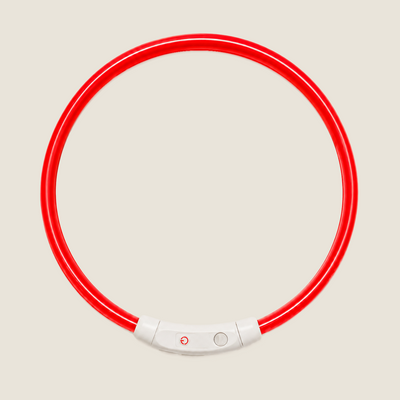 Collier Vigie™ – Collier lumineux pour chien