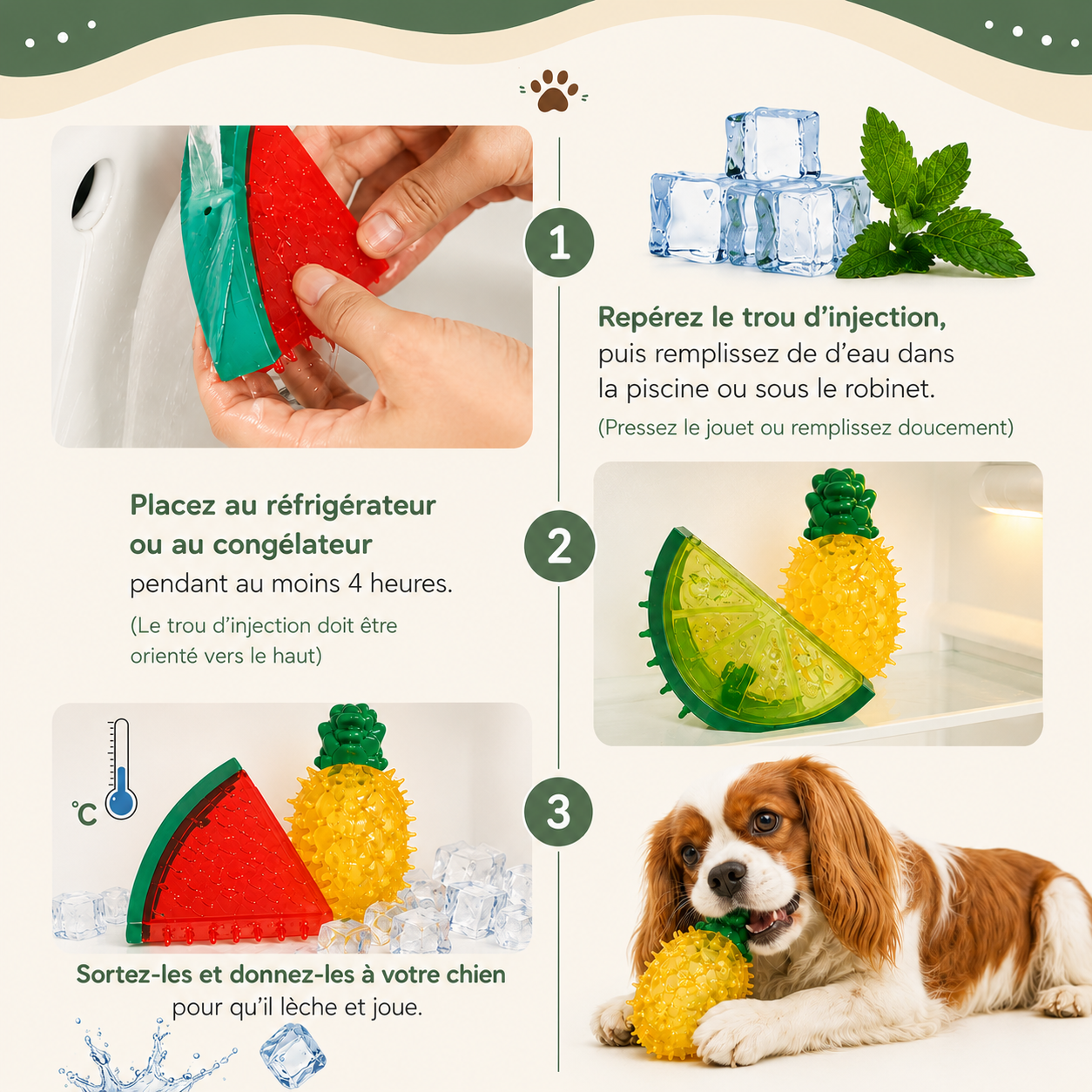 Croq’Frais™ – Jouet rafraîchissant à mâcher pour chien