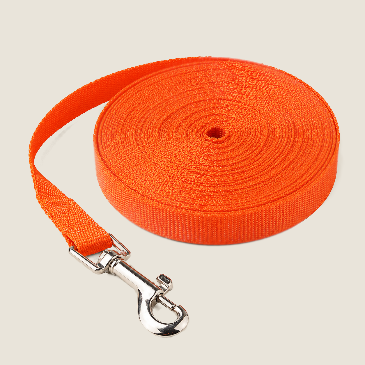Longe d'exploration pour chien